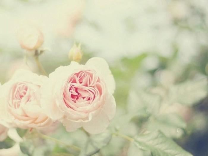 专户投资经理岗位职责