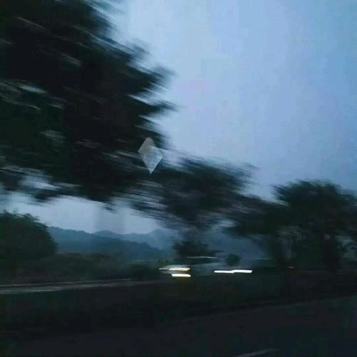 招标主任岗位职责