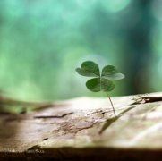 制冷热设计岗位职责