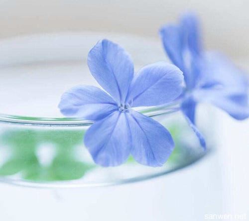 中间件研发工程师岗位职责