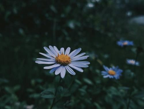 英语专职教师岗位职责