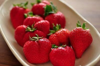 资质审核专员岗位职责