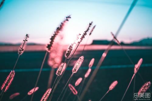 装饰装潢材料公司副经理岗位职责