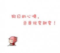 医院运营管理岗位职责