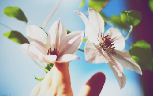 游戏美术指导岗位职责