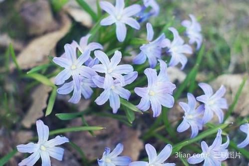 展览设计助理岗位职责