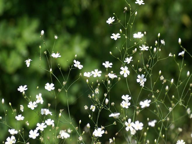 职业经理岗位职责
