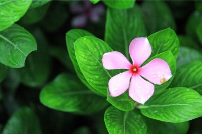 质监主管岗位职责