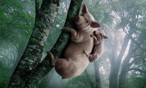 展览设计岗位职责