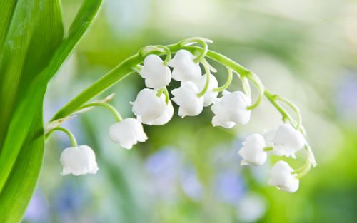 专线销售岗位职责