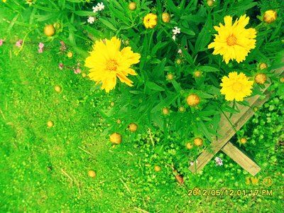 流程优化工程师岗位职责