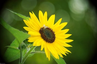 制氮机司机岗位职责