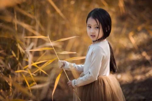 行政专干岗位职责