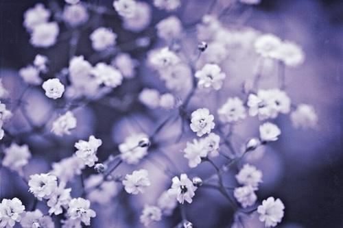 药品注册工程师岗位职责