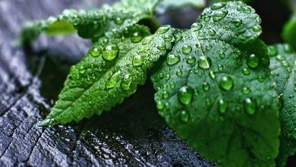 重点客户经理岗位职责