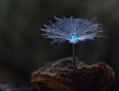 装饰画设计岗位职责