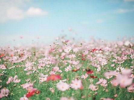 压力容器设计审核岗位职责