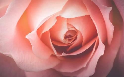 园区销售总监岗位职责