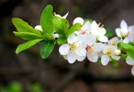中海地产置业顾问岗位职责