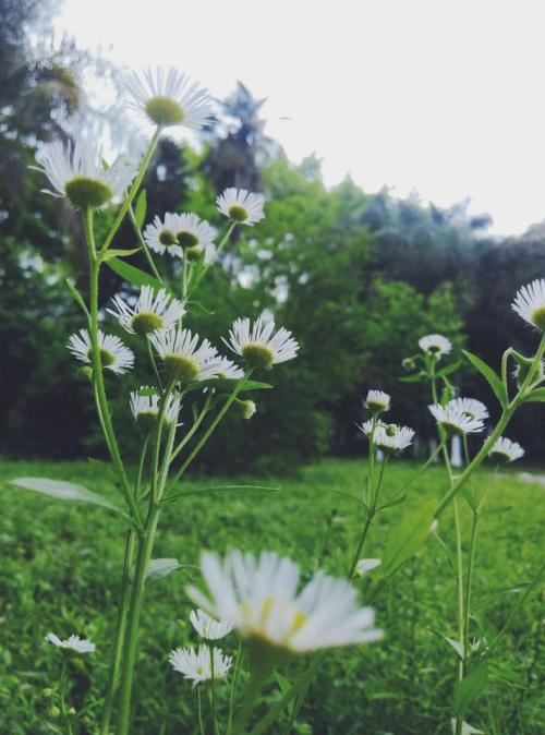 转运工岗位职责