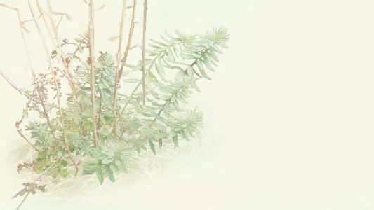 景观方案主创岗位职责