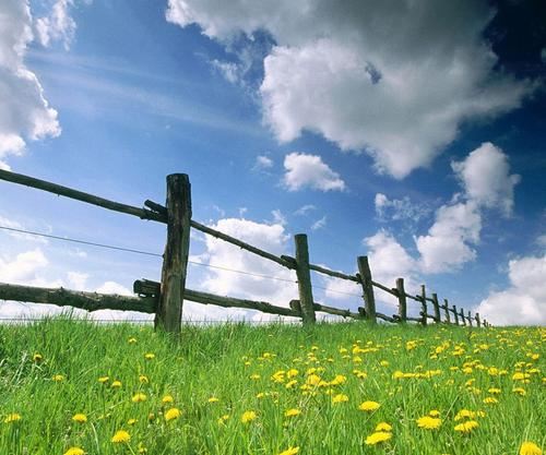 仪器仪表岗位职责