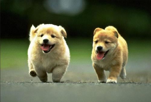 外装设计岗位职责