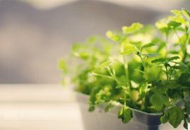 组装服务岗位职责