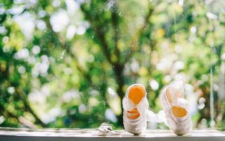 编辑记者撰稿人岗位职责