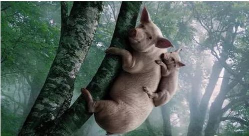 财务证券岗位职责