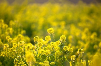 监控值班员岗位职责