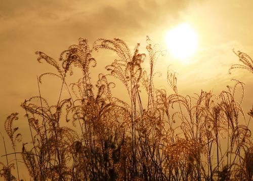优秀设计师岗位职责