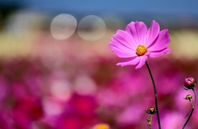 自动化设备主管岗位职责