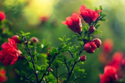 制冷技术员岗位职责