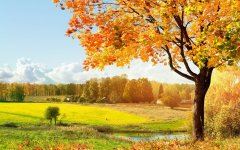 市政招标投标岗位职责