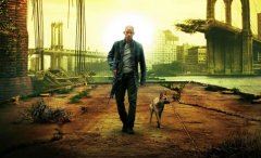 药品研发项目岗位职责