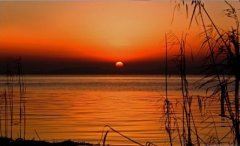 课程指导老师岗位职责