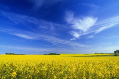 装备设计工程师岗位职责