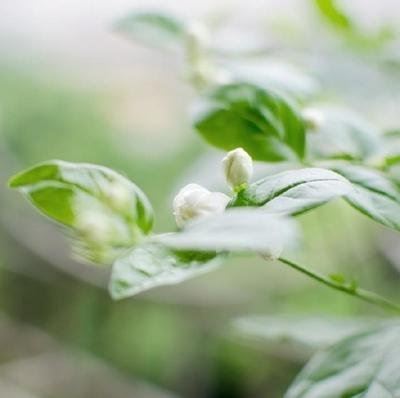 中石化专员岗位职责