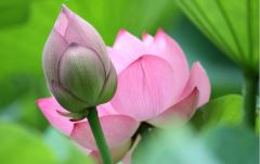 质量管理助理工程师岗位职责