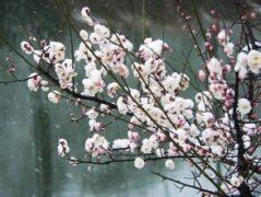 证券公司客户经理岗位职责