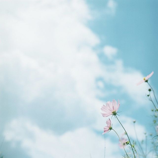 摇炉工岗位职责