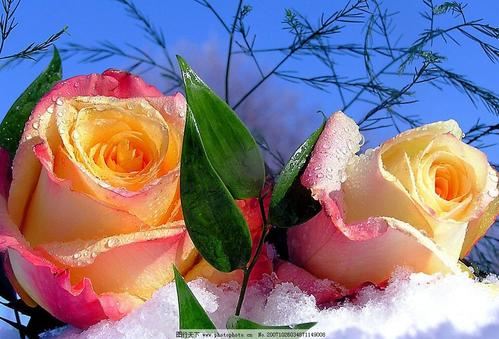 针灸科医师岗位职责