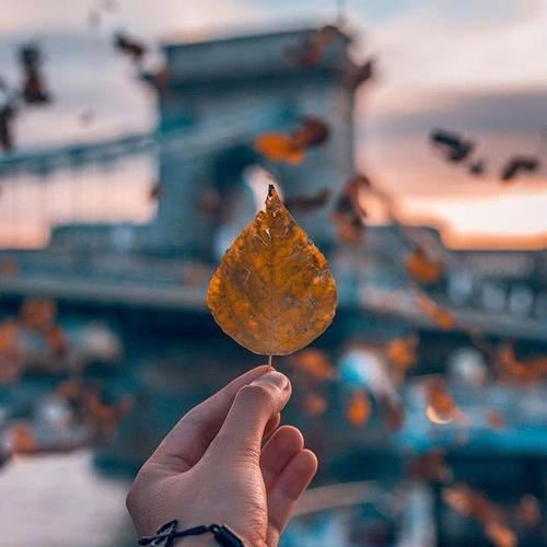 中药材生产管理员岗位职责