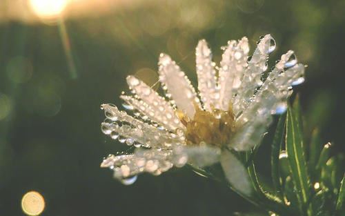 装饰装修管理岗位职责