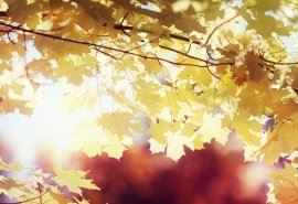 质量检测岗位职责