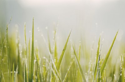 媒体主编岗位职责