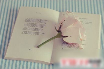 招聘药剂师岗位职责