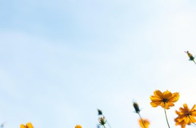 支付平台产品经理岗位职责