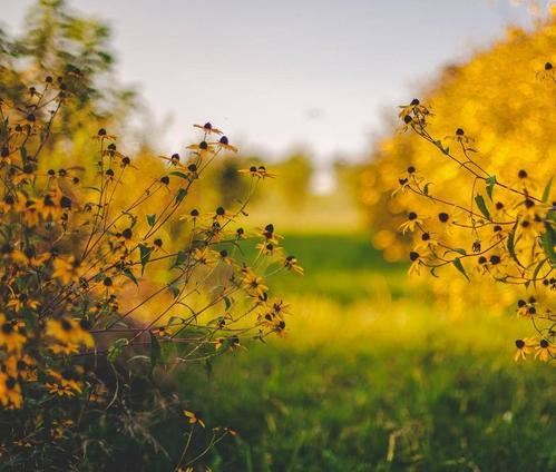 营销部文案岗位职责